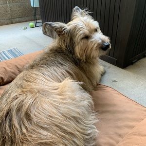 Meet your Posher, Gevorg